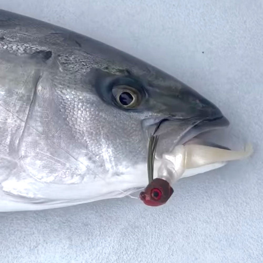 dayz fishing lure Tom's Taz Lures 045 Rainbow Trout gliding and darting baits have taken the fishing world by storm DARK DAYZ - SWIMBAIT HEAD